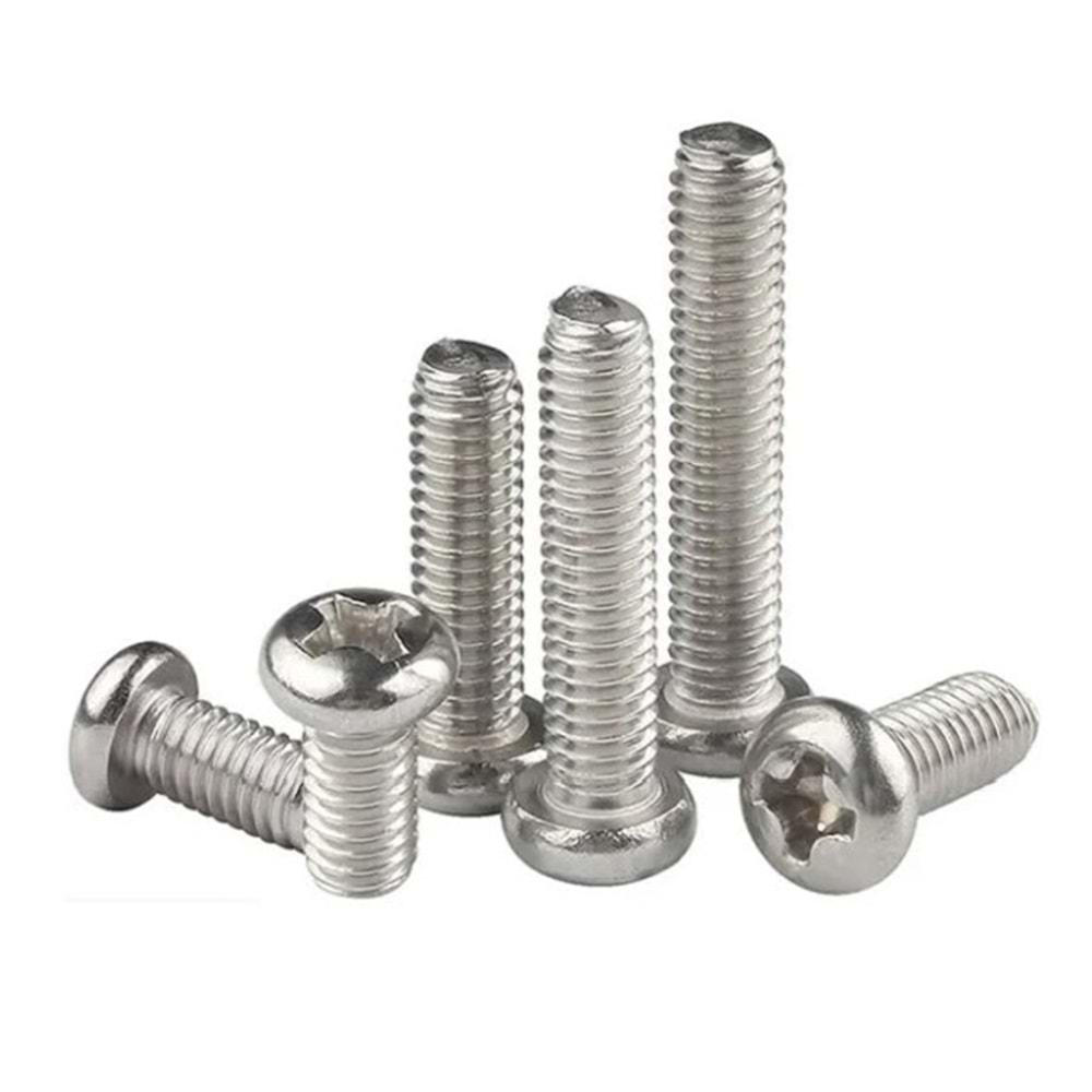 2.5x4MM NİKEL KAPLAMA PM VİDA YSB